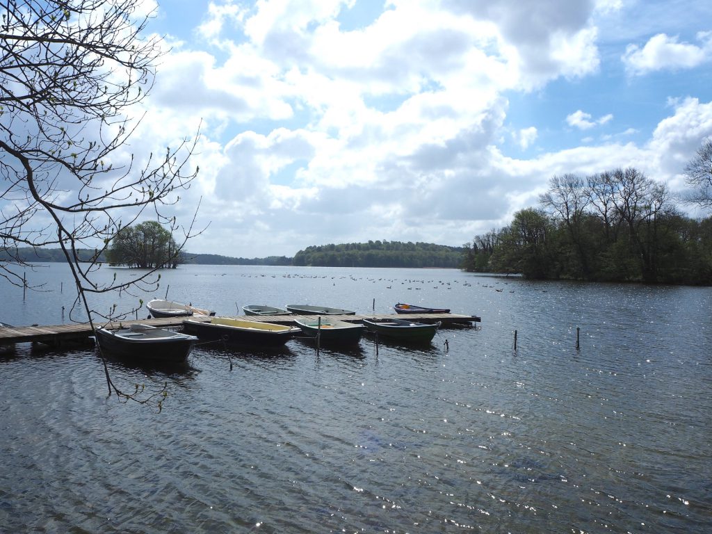 Ruderboote auf dem Kellersee