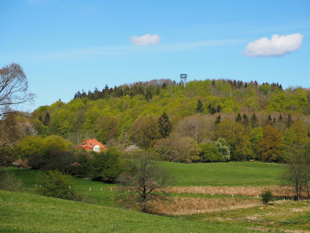 Über den Baumwipfeln